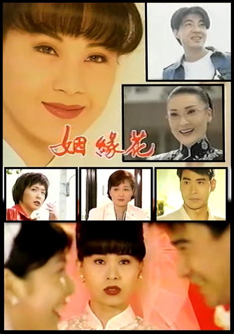 姻緣花|中視花系列『姻緣花』EP32(1997年)